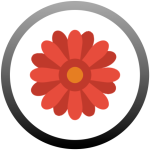 Activite jardinier fleuriste 1